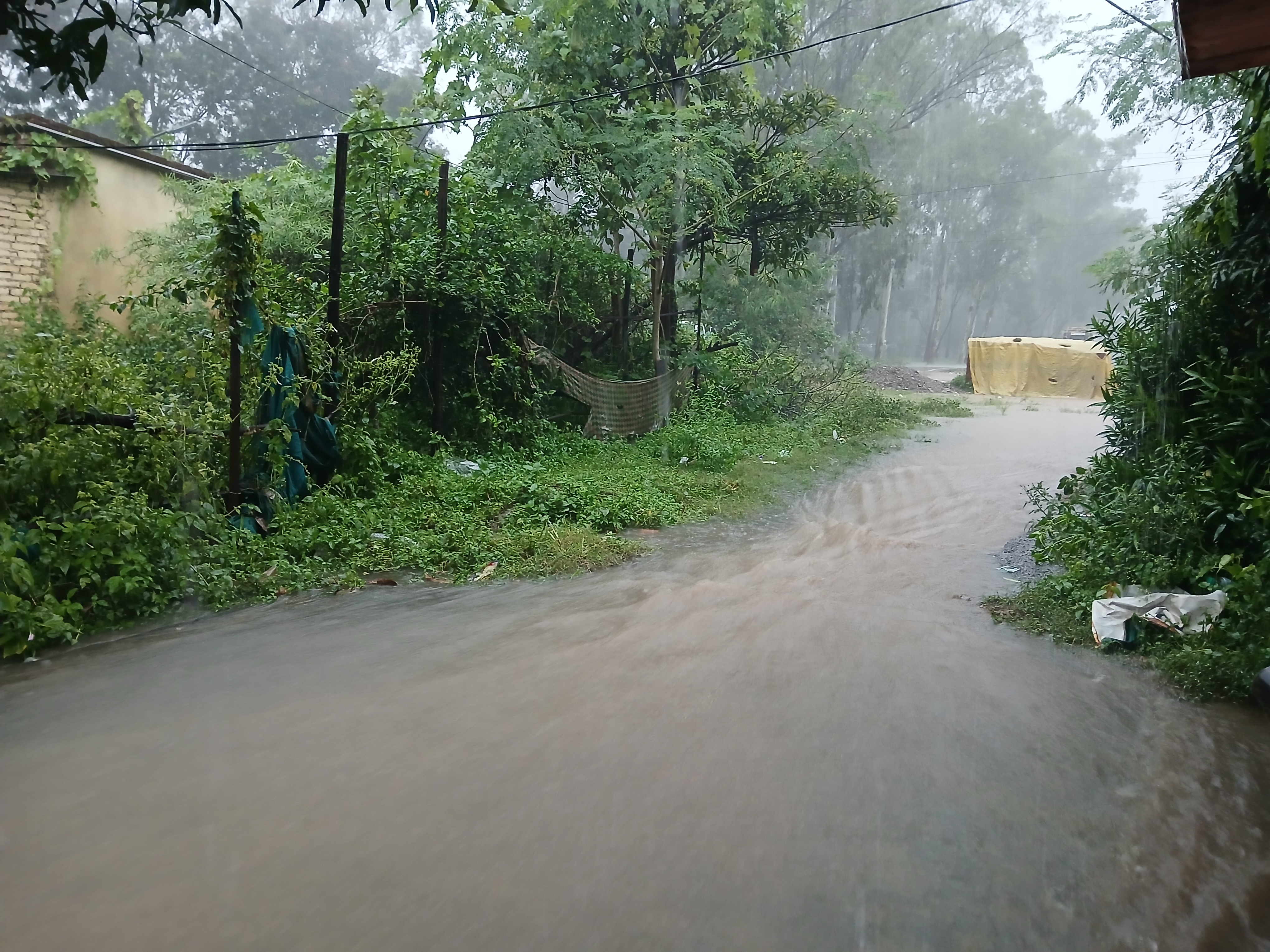 बारिश की फाइल फोटो बारिश की फाइल फोटो