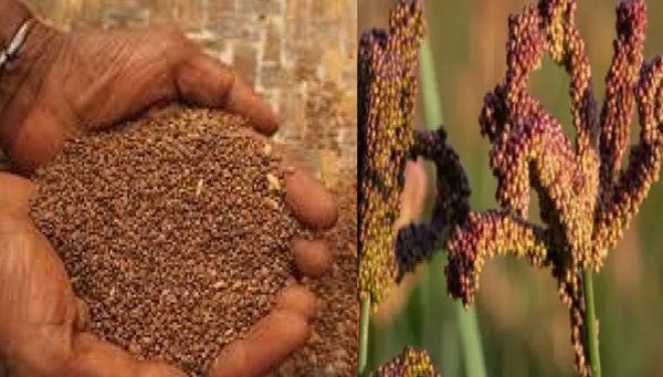 प्रतीकात्मक फोटो प्रतीकात्मक फोटो