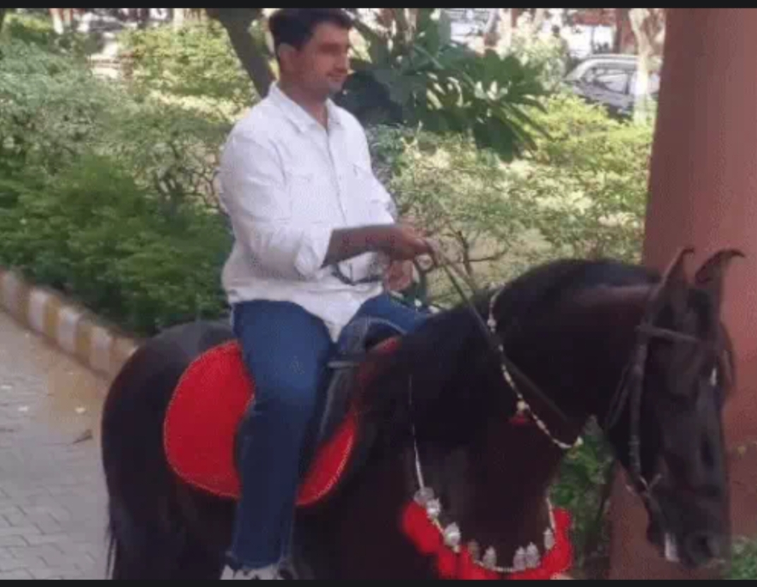 घोडे़ पर बैठकर बैठक में जाते पार्षद जयदेव डागर। घोडे़ पर बैठकर बैठक में जाते पार्षद जयदेव डागर।