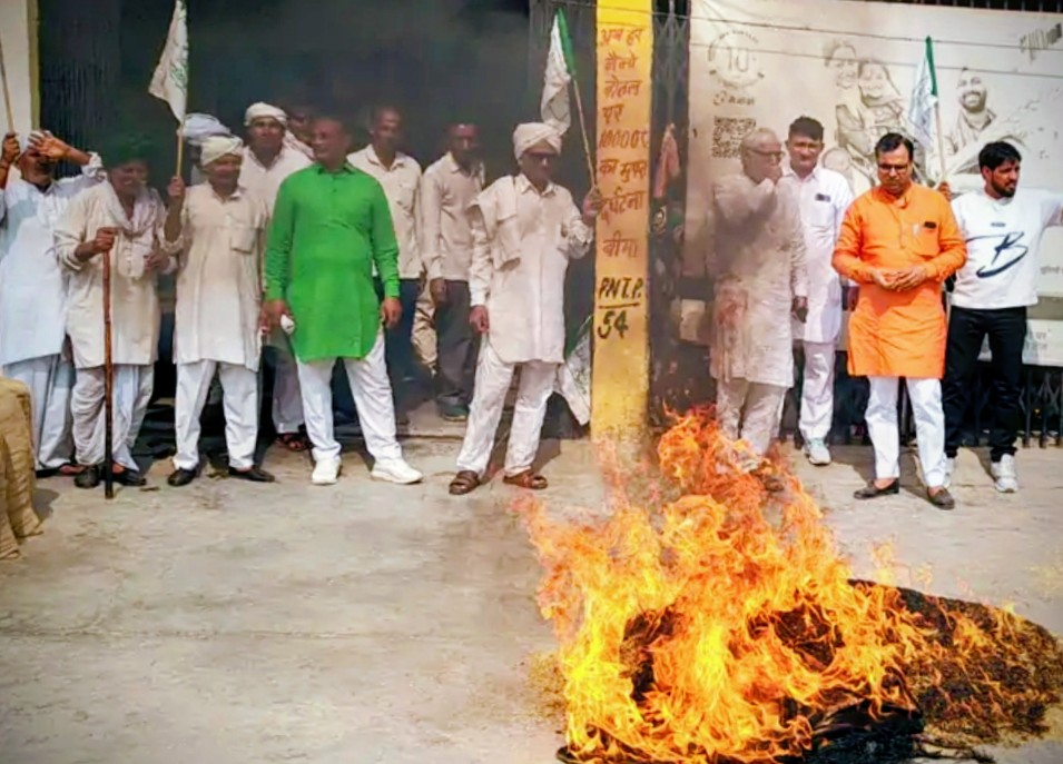 समालखा अनाज मंडी में प्रदर्शन कर धान के ढेरी जलाते हुए। समालखा अनाज मंडी में प्रदर्शन कर धान के ढेरी जलाते हुए।