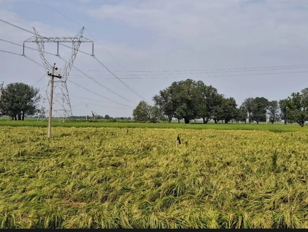 फोटो फोटो