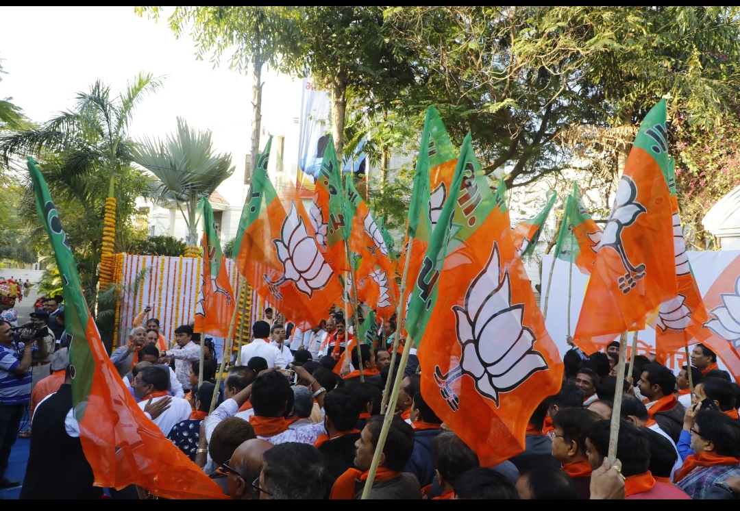 भाजपा भाजपा