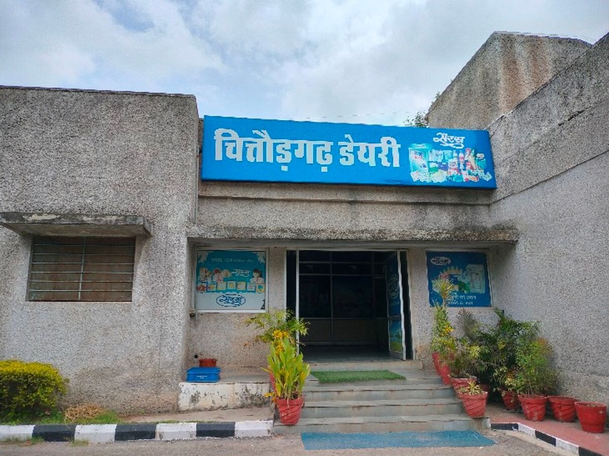 सरस डेयरी ने बढ़ाए घी के मूल्य।