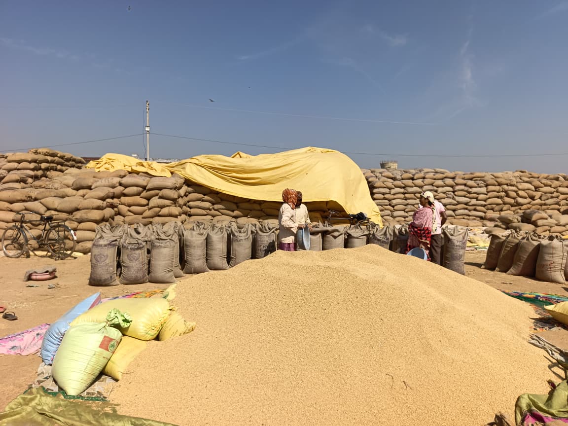 धान खरीदी केंद्र। फाइल फोटो