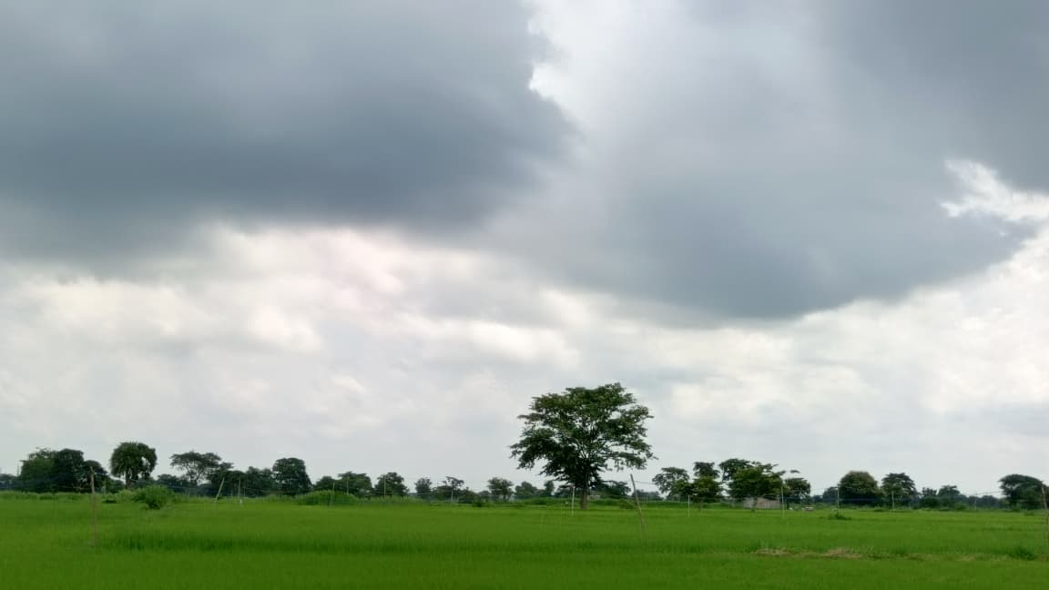 आसमान में काले बादल छाए हुए हैं।