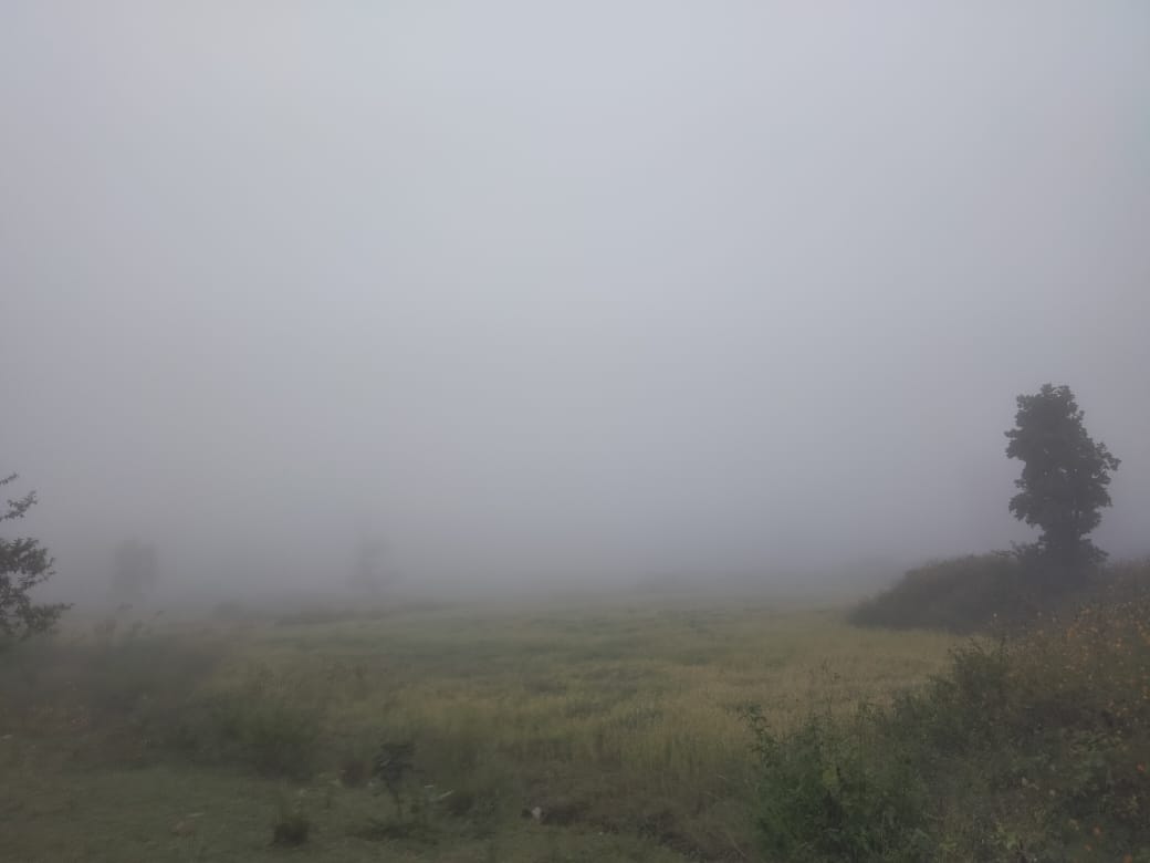 अमरकंटक के पहाडाें मे कोहरे की चादर अमरकंटक के पहाडाें मे कोहरे की चादर