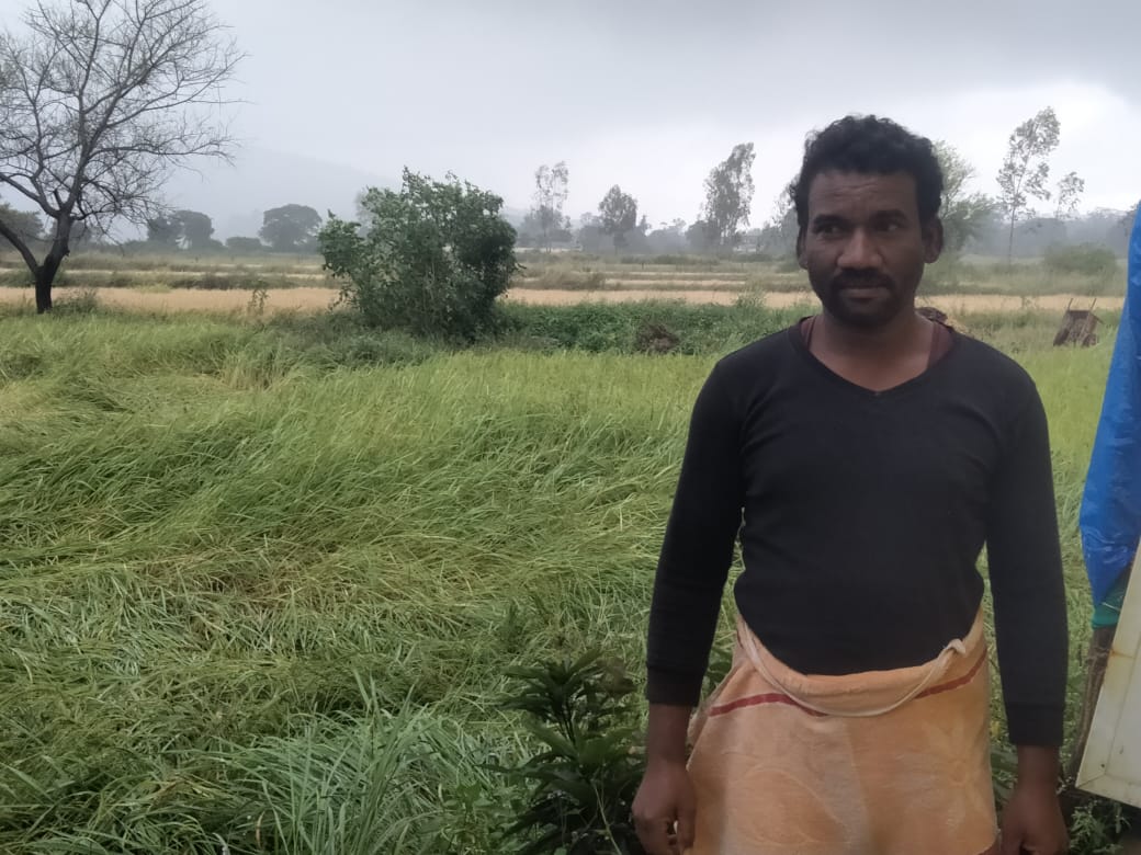 अपनी फसल के साथ किसान अपनी फसल के साथ किसान