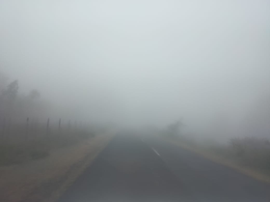 अमरकंटक में कोहरे की चादर 1 अमरकंटक में कोहरे की चादर 1