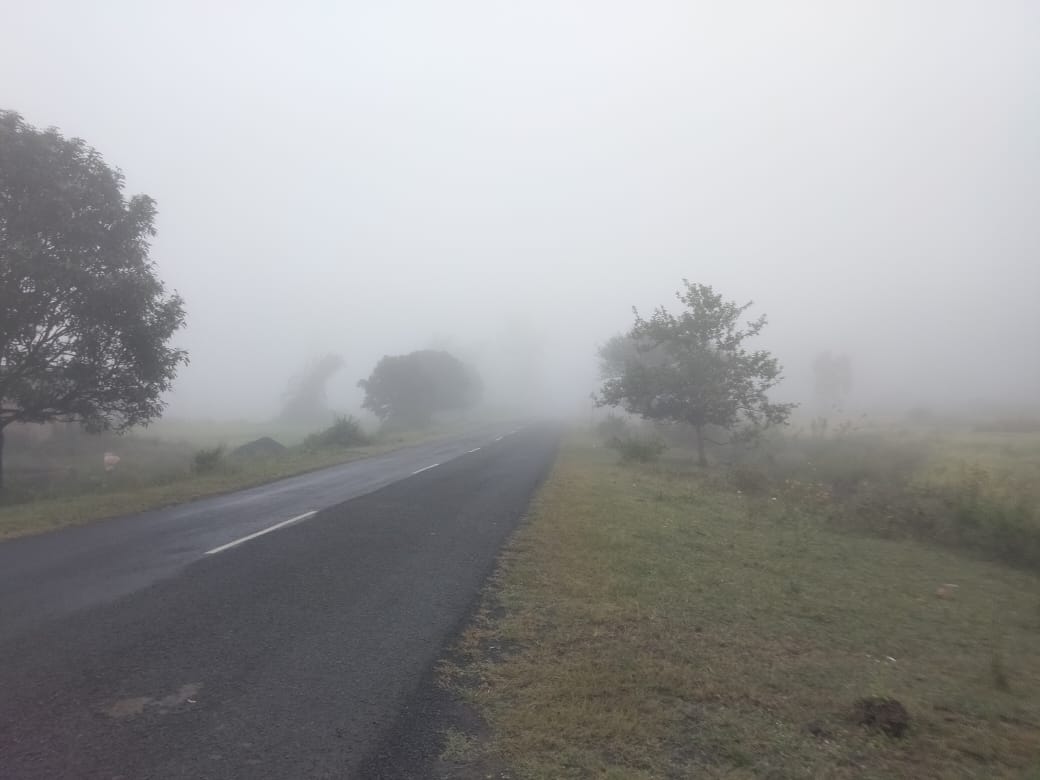 अमरकंटक में कोहरे की चादर 2 अमरकंटक में कोहरे की चादर 2