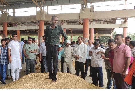 कुरूद कृषि उपज मंडी में धान खरीदी करते हुए मंडी कर्मचारी, किसान व अन्य। कुरूद कृषि उपज मंडी में धान खरीदी करते हुए मंडी कर्मचारी, किसान व अन्य।