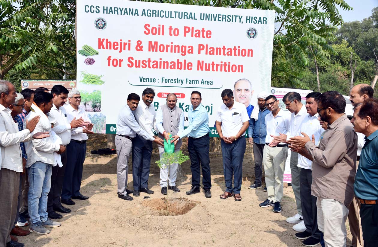 कुलपति प्रो. बीआर कम्बोज पौधारोपण करते हुए। कुलपति प्रो. बीआर कम्बोज पौधारोपण करते हुए।