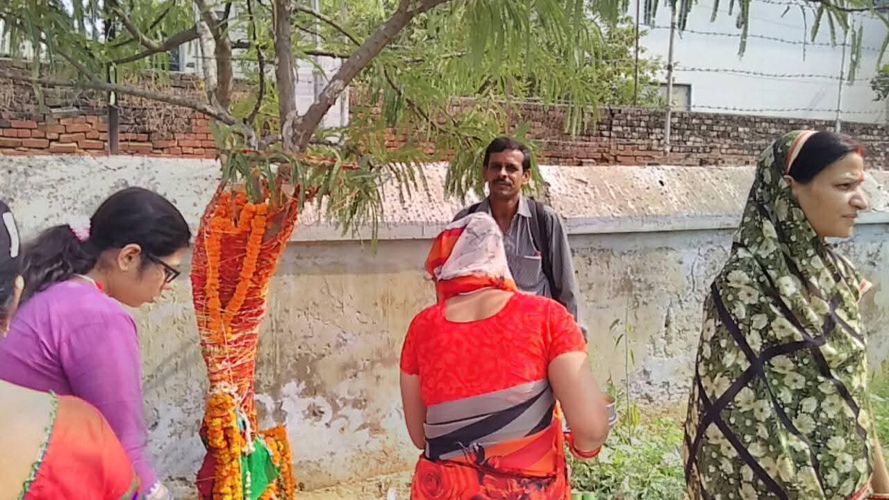 आंवले के वृक्ष की पूजा करती महिलाए आंवले के वृक्ष की पूजा करती महिलाए