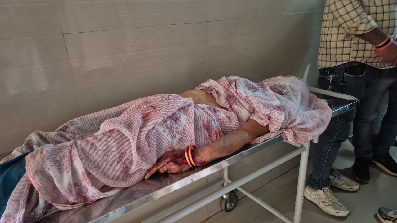 दमोह-भीषण सडक हादसा आटो और बोलेरो की टक्कर एक महिला की मौत