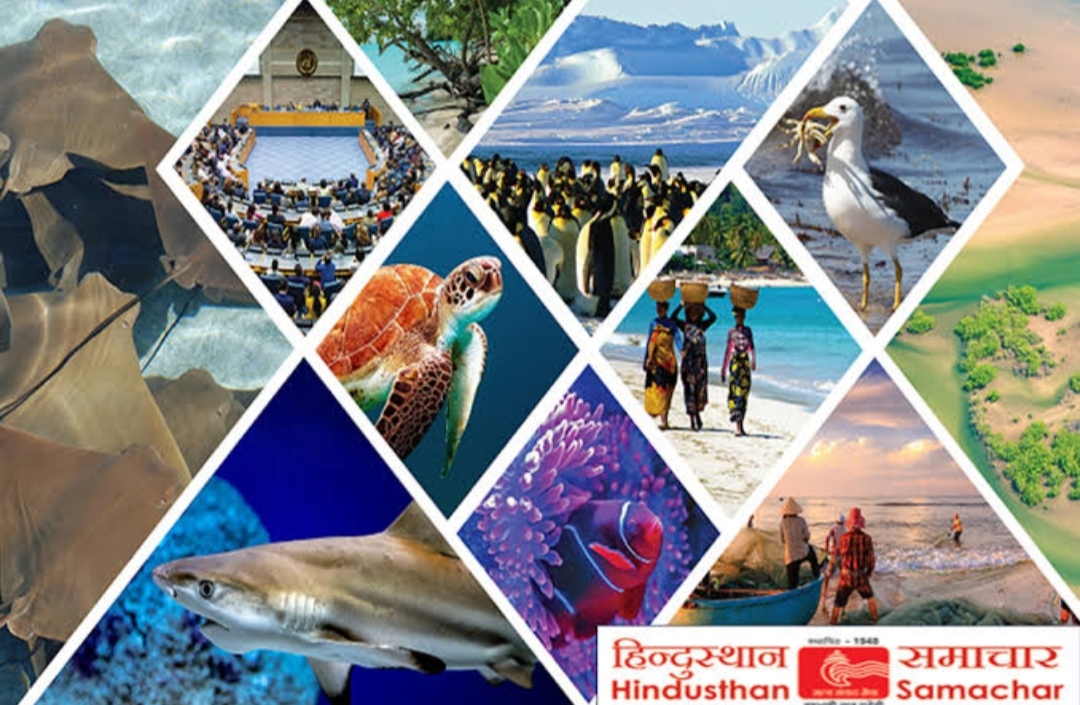 प्रतीकात्मक फोटो प्रतीकात्मक फोटो