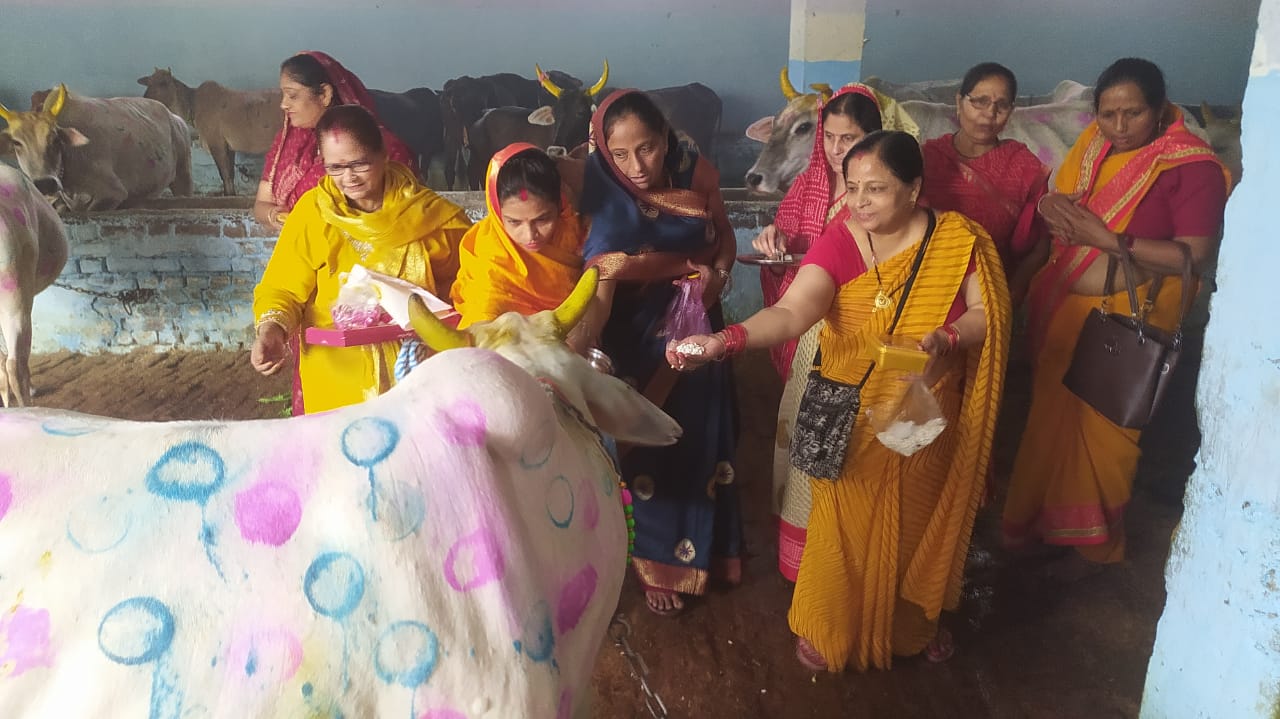 गोपाष्टमी पर को गौ माता की पूजा करती महिलाएं गोपाष्टमी पर को गौ माता की पूजा करती महिलाएं
