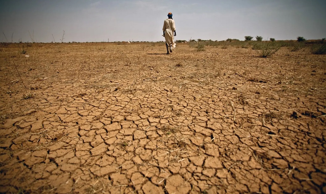 बलोचिस्तान के इन 12 जिलों में सूखा पड़ना नई बात नहीं है। फोटो - डान