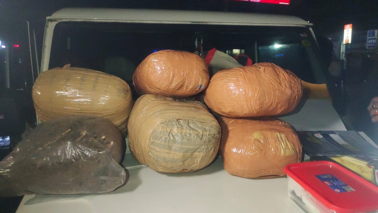 भारी मात्रा में जब्त गांजा