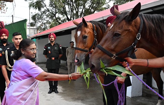 देहरादून के राष्ट्रपति निकेतन में राष्ट्रपति द्रौपदी मुर्मु घोड़ों को चारा खिलाती।