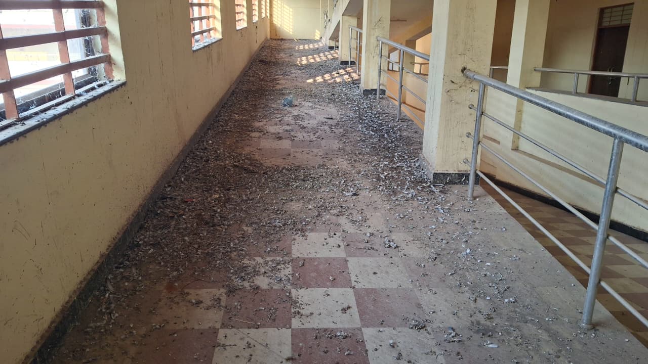 दमोह-माॅडल काॅलेज गंदगी दुर्दशा आखिर जिम्मेदार कौन दमोह-माॅडल काॅलेज गंदगी दुर्दशा आखिर जिम्मेदार कौन