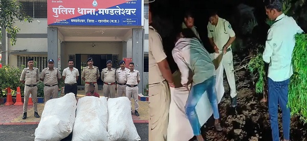 कपास के खेत में अवैध गांजे की खेती करते पकड़ाए तस्कर 286 कफ सिरप की अवैध शीशियाँ जब्त कपास के खेत में अवैध गांजे की खेती करते पकड़ाए तस्कर 286 कफ सिरप की अवैध शीशियाँ जब्त