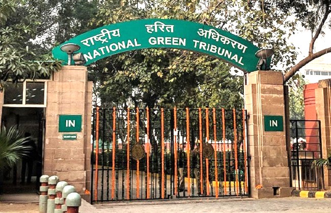 एनजीटी एनजीटी