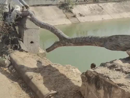 नहर की टूटी सुरक्षा दीवार