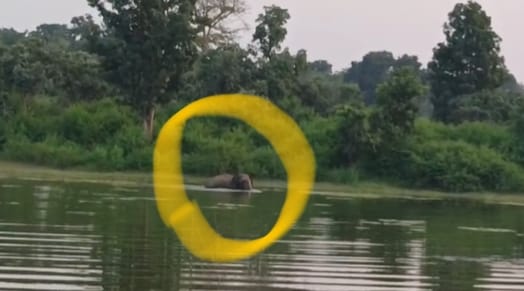 गांव के तलाब में