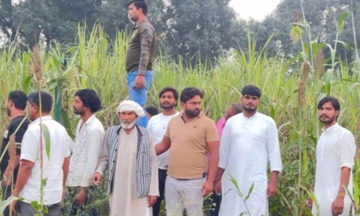 खेतों में गुलदार को तलाश करते ग्रामीण खेतों में गुलदार को तलाश करते ग्रामीण