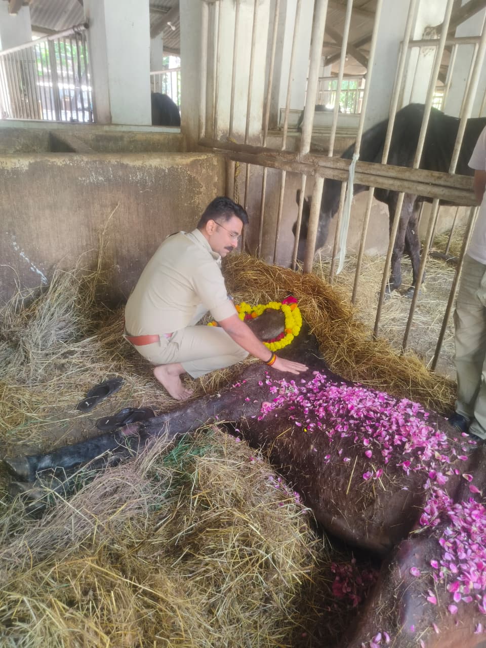 नॉटी ब्वाय’ की शैतानियां अब कुलाचें नहीं भरेंगी मैदान में......!