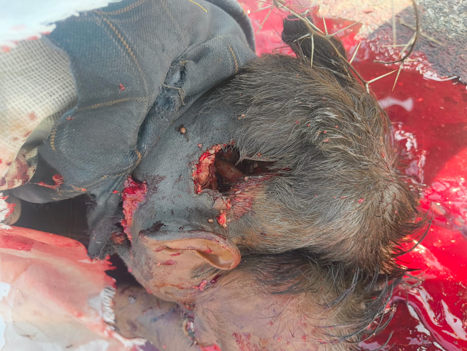 राष्ट्रीय राजमार्ग 552 पर पचपेड़ा के पास घेरकर की हत्या