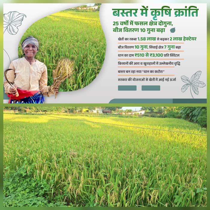 बस्तर में 25 वर्षों में फसल क्षेत्र हुआ दोगुना, बीज वितरण में हुई 10 गुना वृद्धि बस्तर में 25 वर्षों में फसल क्षेत्र हुआ दोगुना, बीज वितरण में हुई 10 गुना वृद्धि