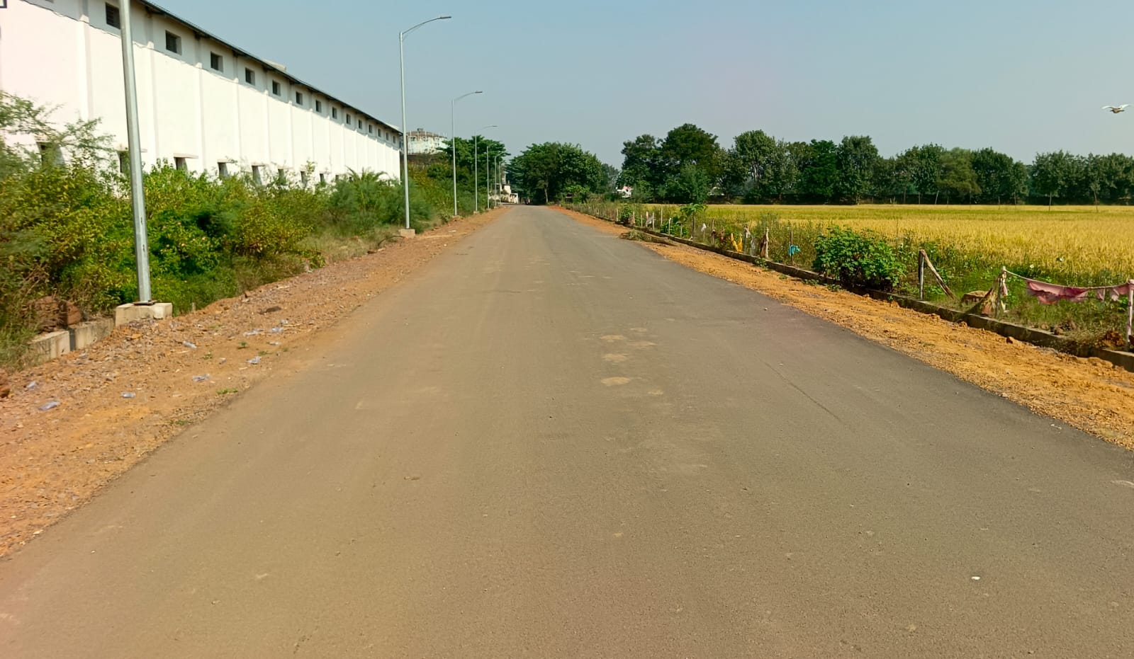 गांव पहुंच मार्ग।