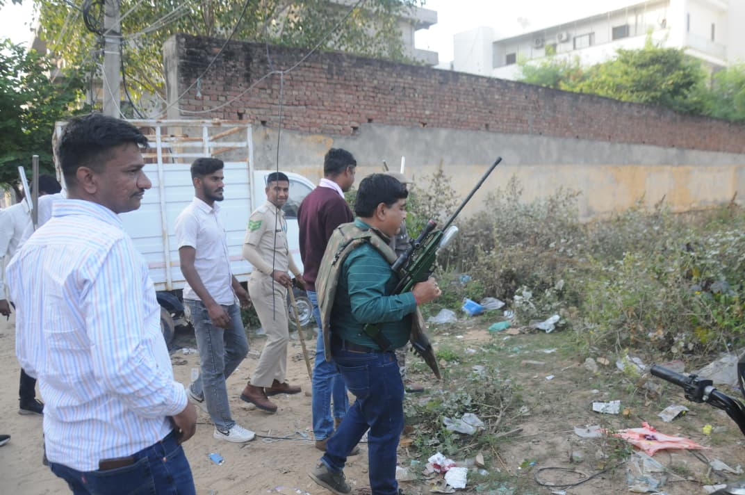 रिहायशी इलाके में लेपर्ड का मूवमेंट रिहायशी इलाके में लेपर्ड का मूवमेंट