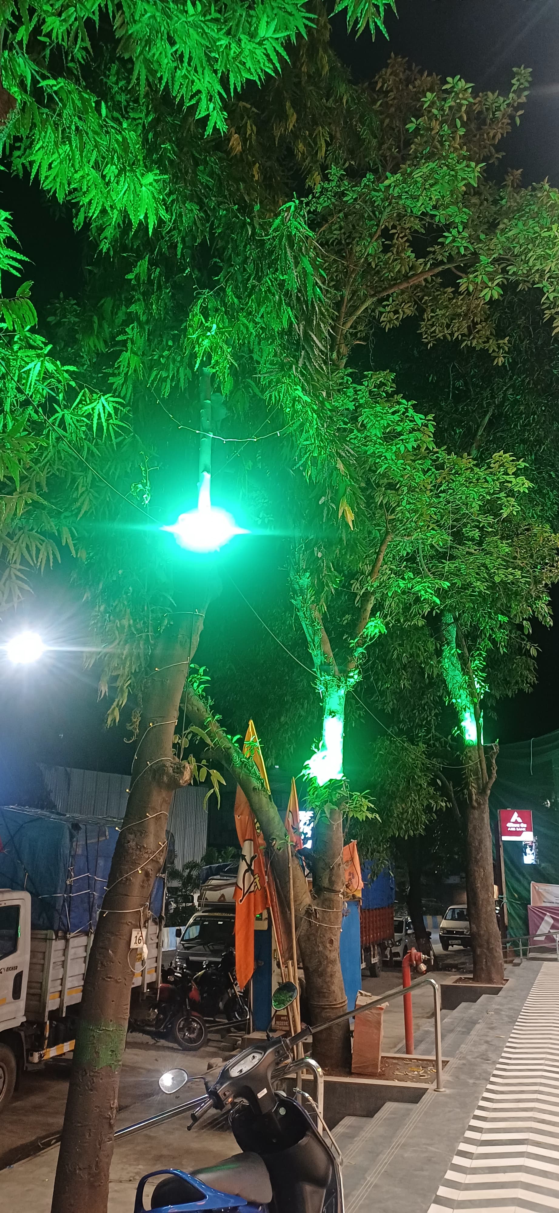 Electric light on trees pose a risk of accident