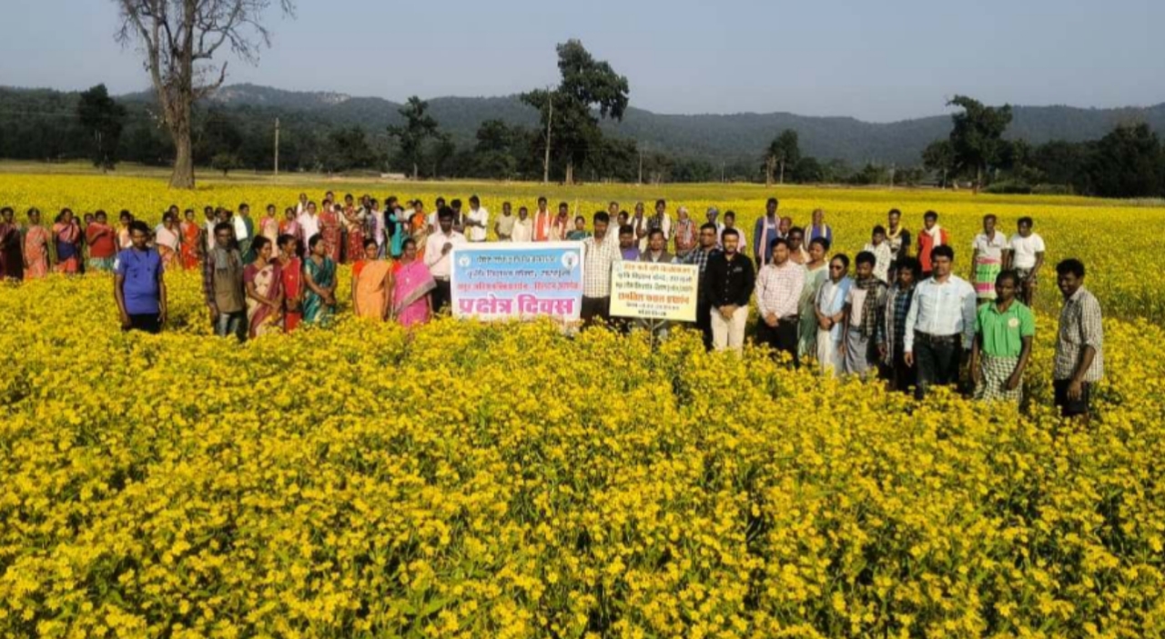 रामतिल फसल पर प्रक्षेत्र दिवस