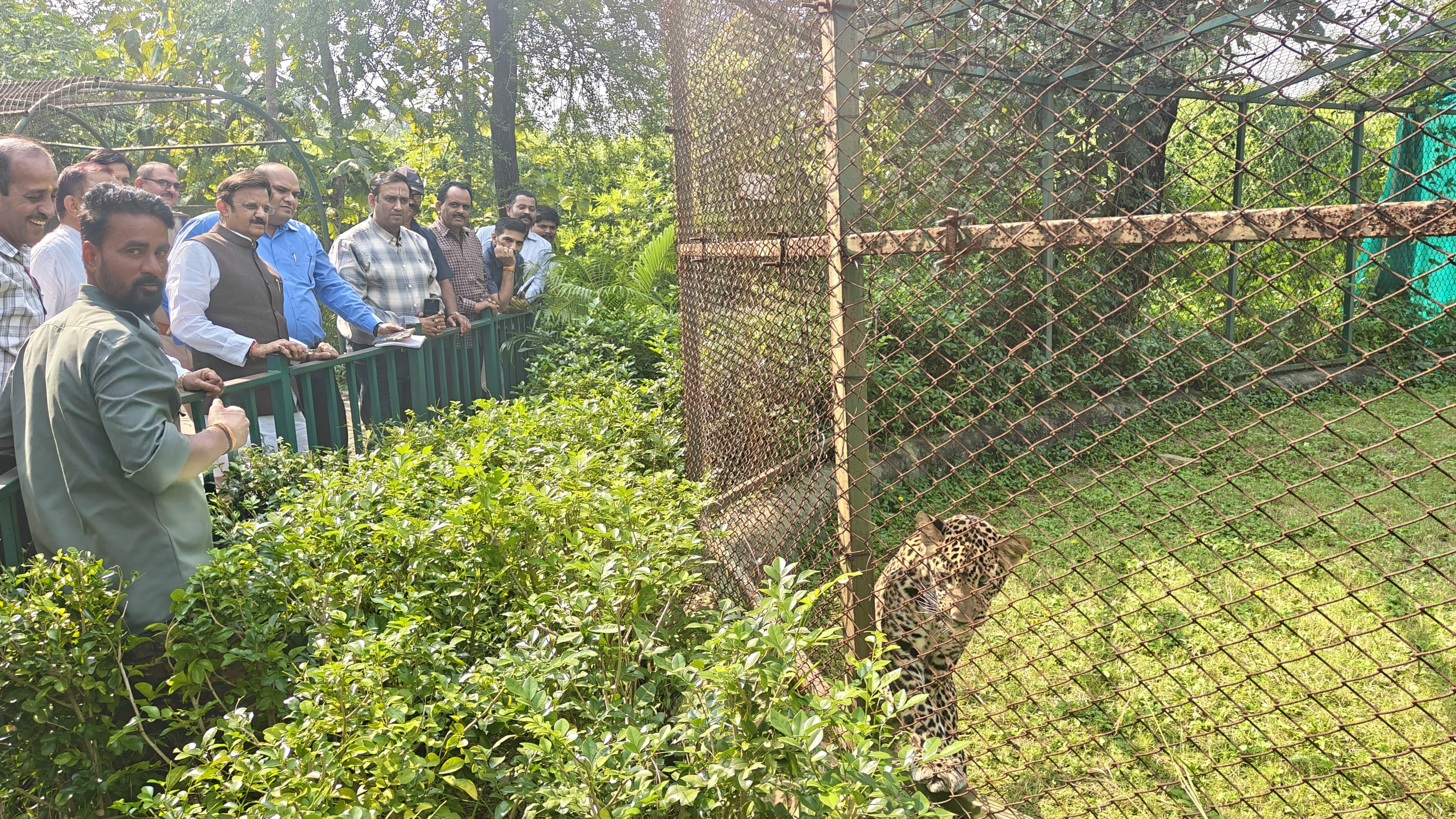 उप मुख्यमंत्री शुक्ल ने व्हाइट टाइगर सफारी का किया भ्रमण उप मुख्यमंत्री शुक्ल ने व्हाइट टाइगर सफारी का किया भ्रमण