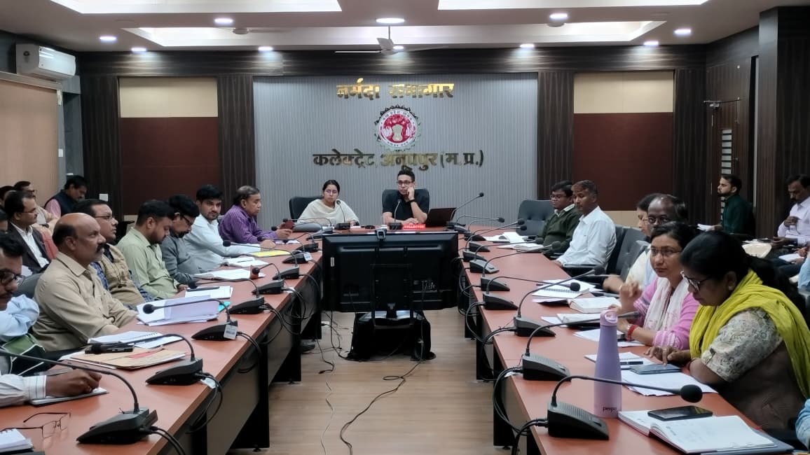 कलेक्टर ने समयावधि पत्रों की समीक्षा बैठक में अधिकारियों को निर्देश देते हुयें