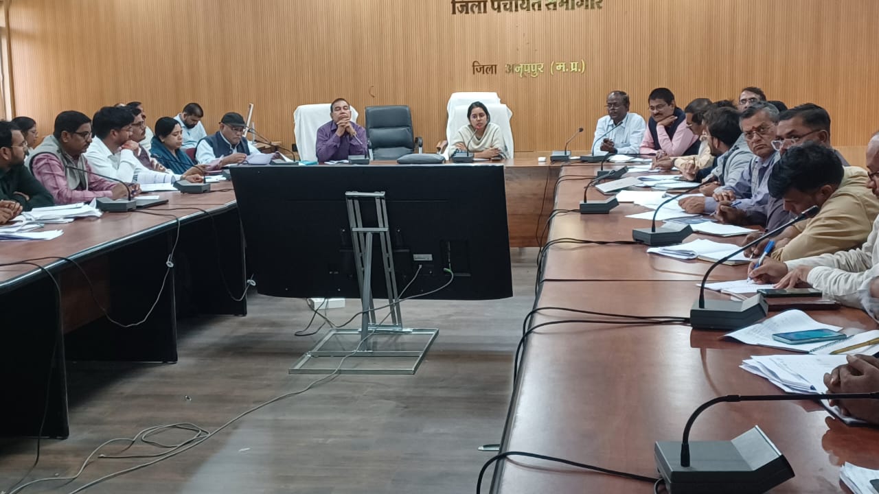 ग्रामीण विकास कार्यों की समीक्षा बैठक में जिपं सीईओ