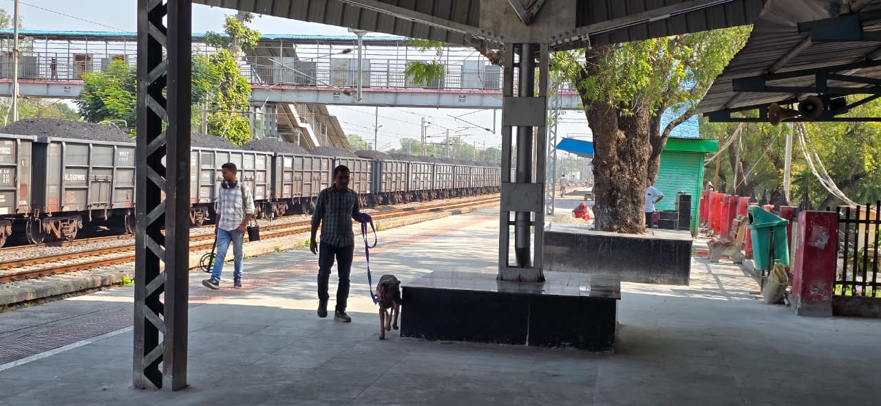 जांजगीर-चांपा पुलिस हाई अलर्ट पर, दिल्ली बम धमाके के बाद जिले में सघन जांच अभियान