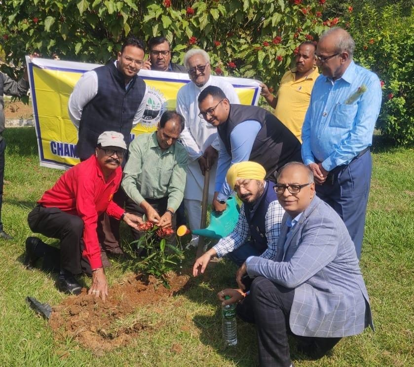 पौधारोपण करते चेंबर के सदस्‍य
