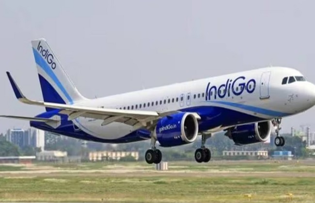 बजट एयरलाइन कंपनी इंडिगो के लोगो का प्रतीकात्‍मक चित्र