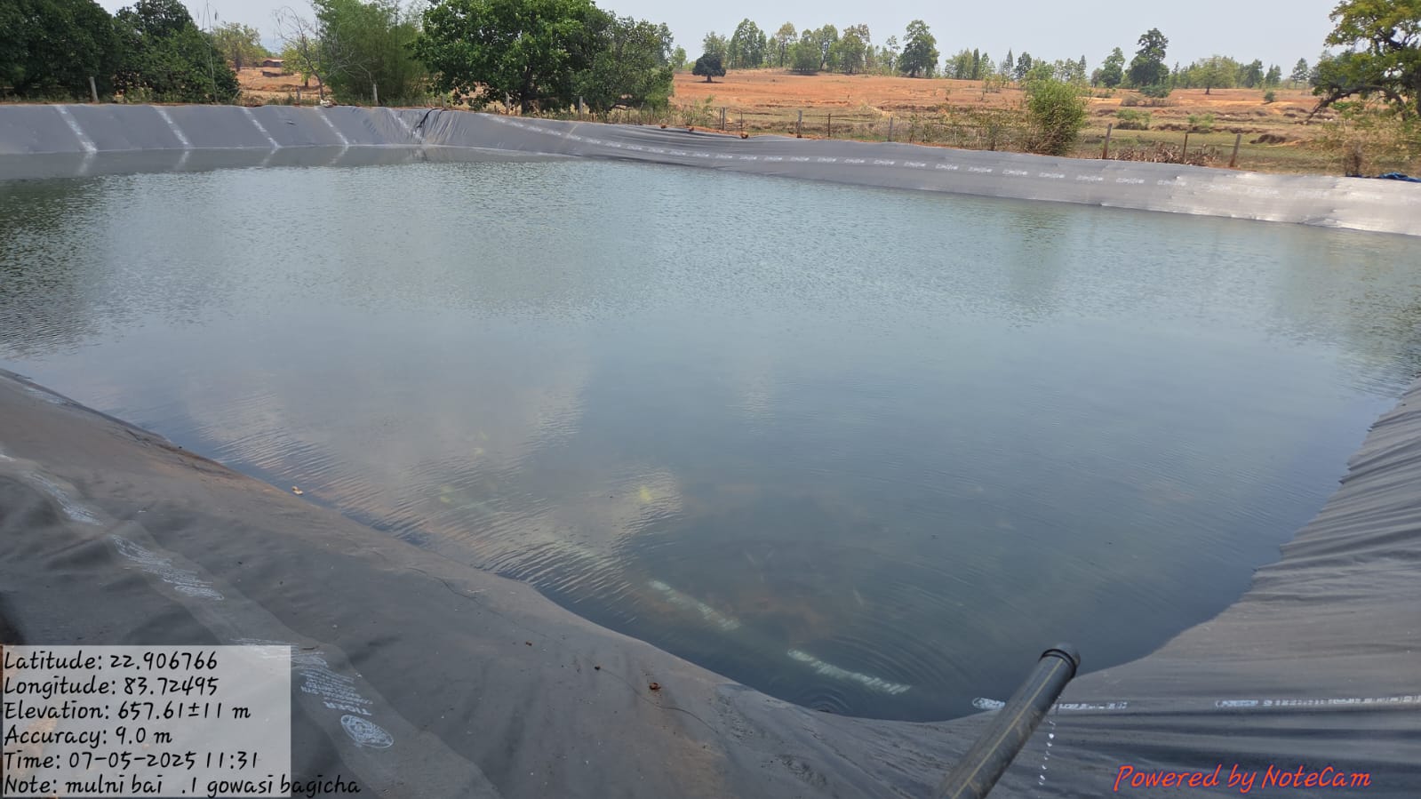 मछली पालन