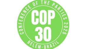 सीओपी 30