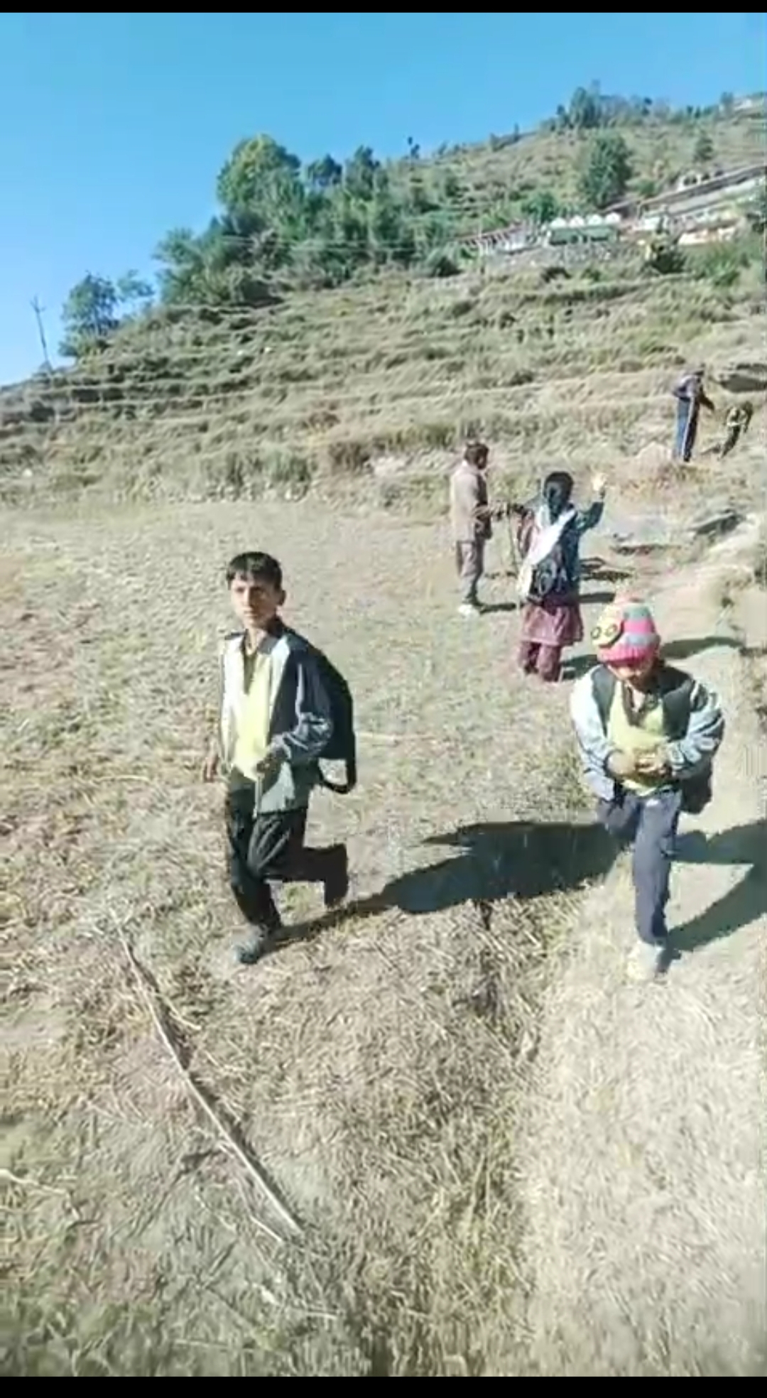 आखिर क्यों हिंसक हो रहे हैं भालू, तीन महीने में दर्जनों हमले