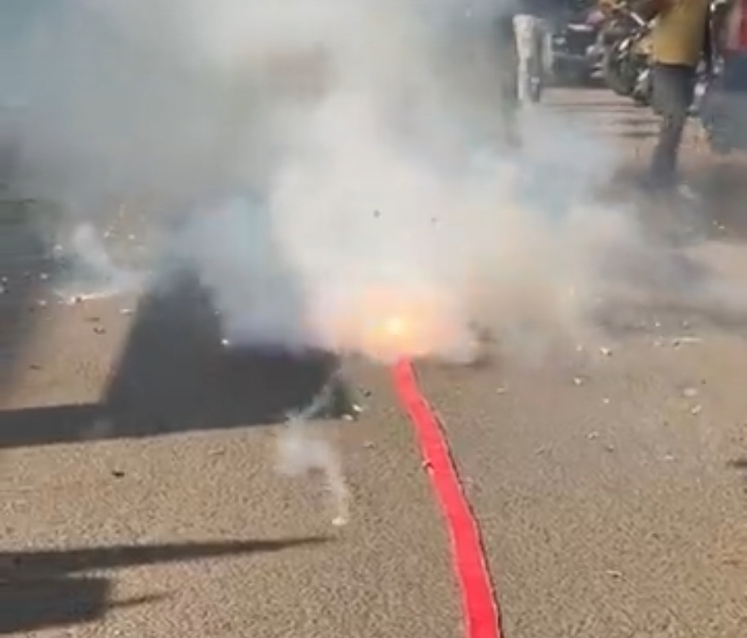 भाजपा का बिहार जीत का जश्न