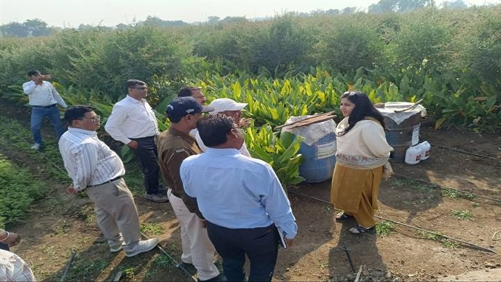 खरगोनः कलेक्टर ने किया उद्यानिकी फसलों का निरीक्षण