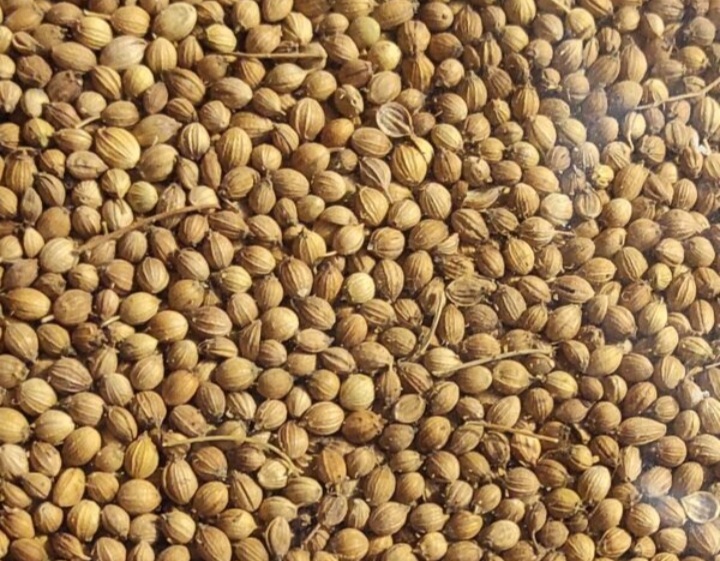 धनिया का गूगल फोटो