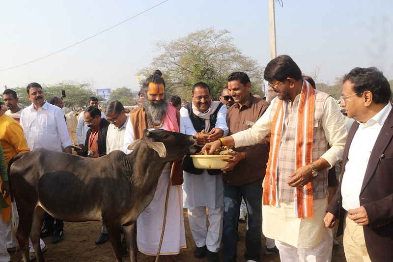 पशुपालन मंत्री ने गौ-शाला का किया निरीक्षण