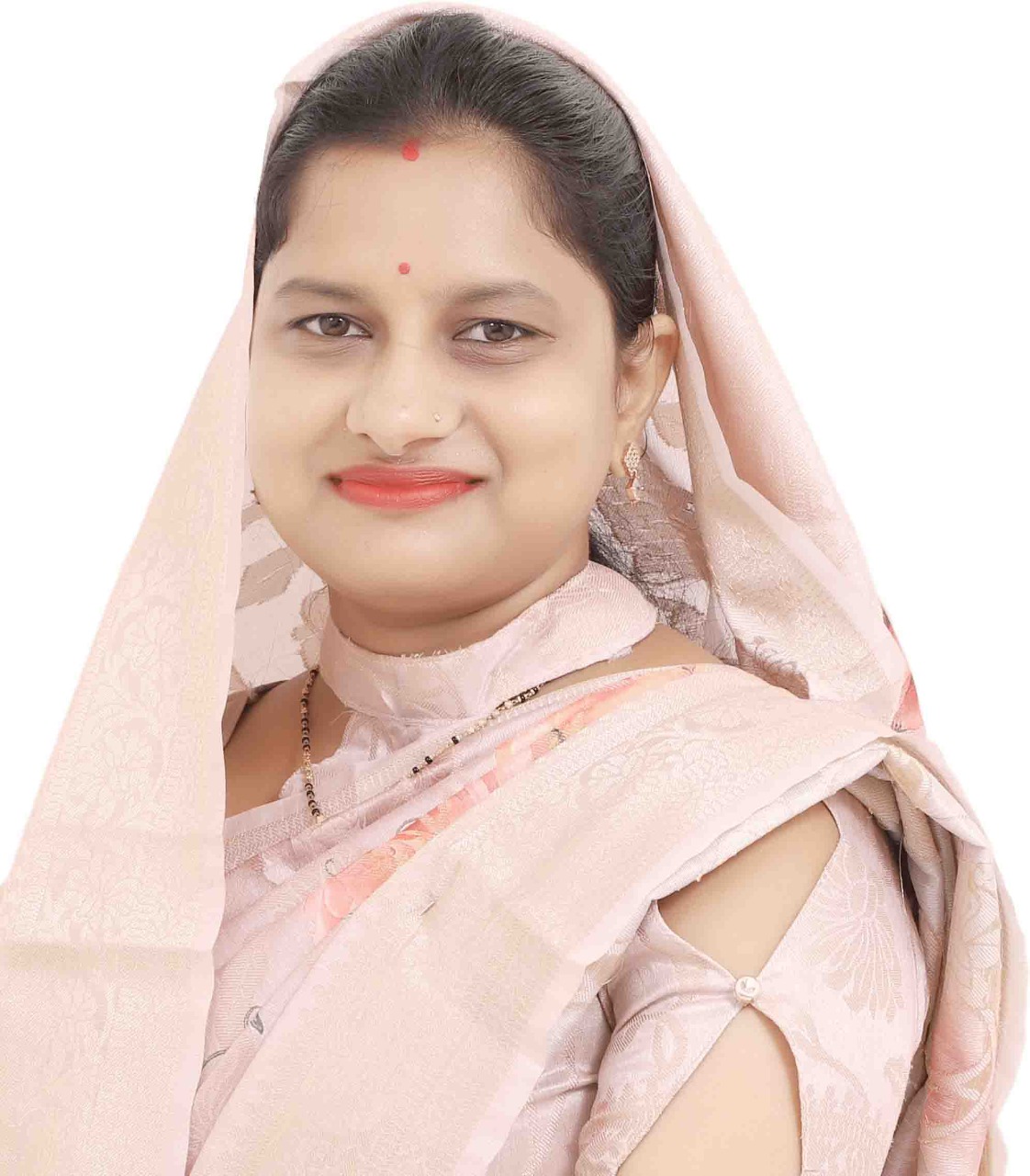 नपाध्यक्ष ने काम करने के लिये मांगी अनुमति, उच्च न्यायालय ने की नामंजूर