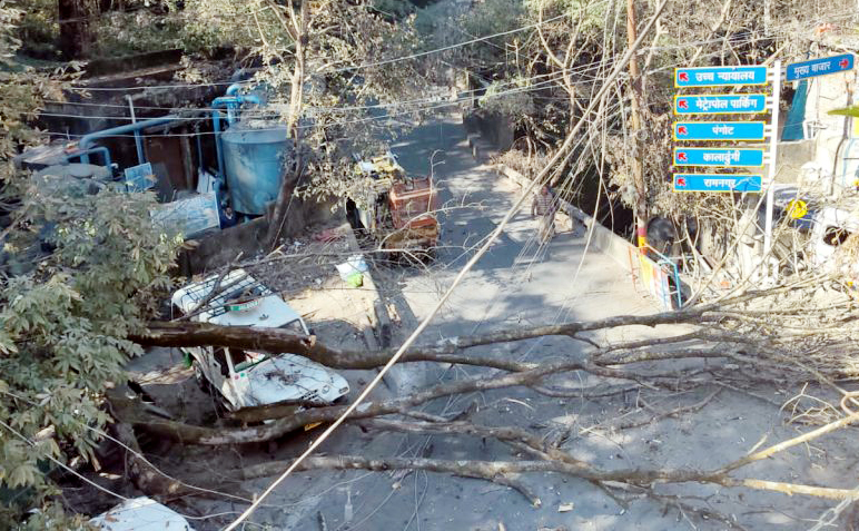 शनिवार सुबह अंडा मार्केट के पास सड़क व वाहन पर गिरा विशाल पेड़। शनिवार सुबह अंडा मार्केट के पास सड़क व वाहन पर गिरा विशाल पेड़।